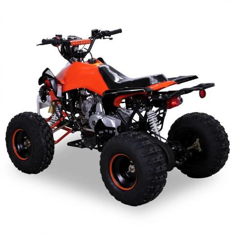 Quad Panthera 125cc 4 temps 8 pouces – Image 3